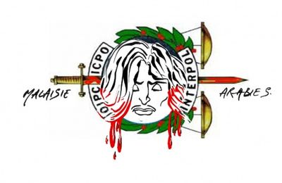 Interpol peut-être impliqué dans la mort annoncée d'Hamza Kashgari?