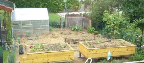 Le potager 