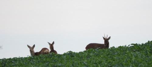 ... petite rencontre lundi matin...
