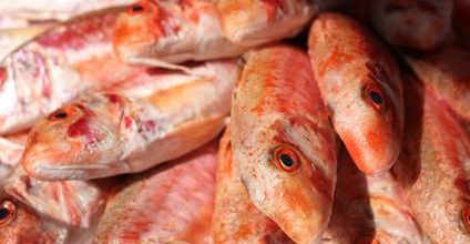 RECETTES POISSONS & CRUSTACÉS    16/04/2015