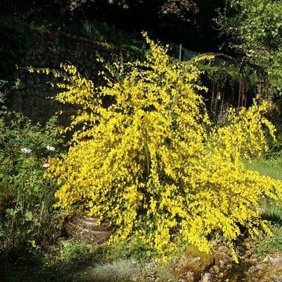 rétrospective 2025 : Mai