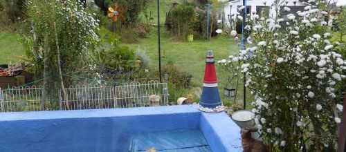 Au jardin pour le moment