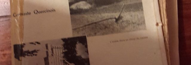 Le trafic ferroviaire en 1938 