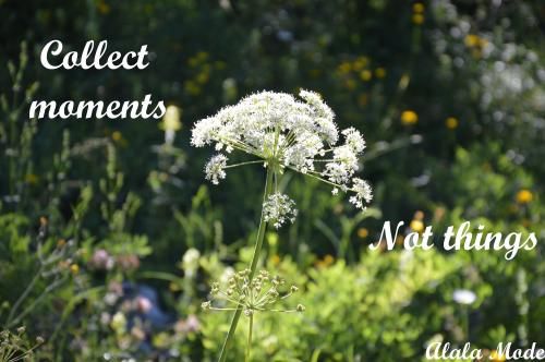 Collect moments not things #15