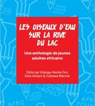 Téléchargement de livres gratuits pour allumer le feu Les oiseaux d'eau sur la rive du lac  - Une anthologie de jeunes adultes africains 9782359260854 (Litterature Francaise) RTF CHM PDB par Edwige-