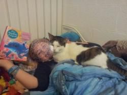 Angelina et Chouna