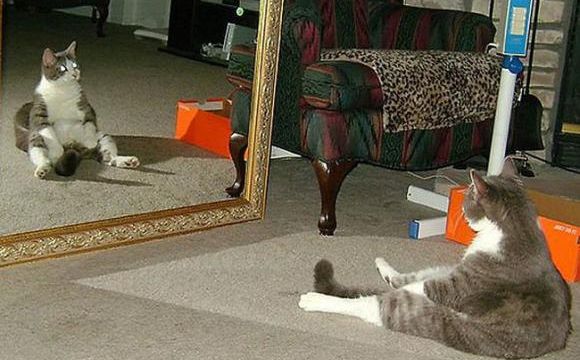 Chat chat chat (2)