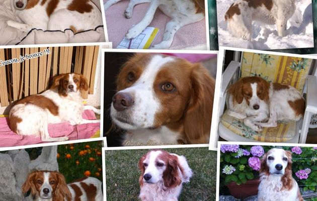 SOUVENIRS * NOSTALGIE * 