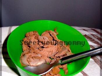 Sorbet au chocolat sans protéines de lait de vache