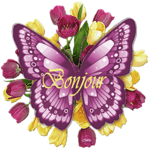 ♥ bon Mercredi ♥