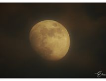 L'Aube et l'Aurore