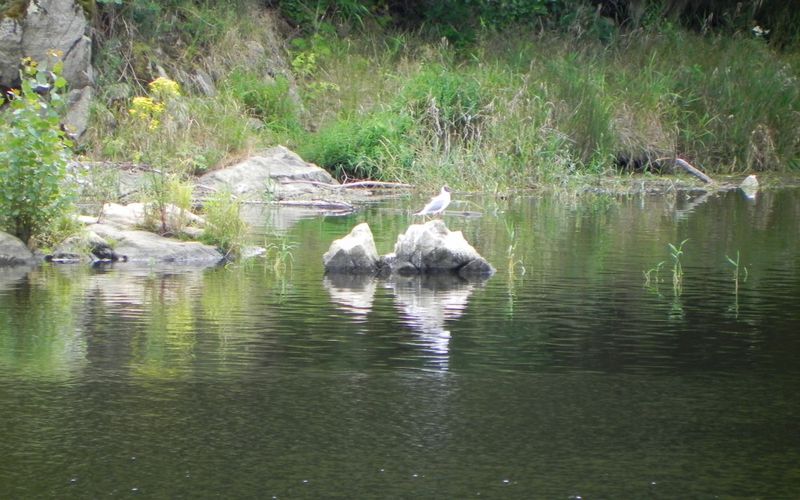 Ballade en bord de Loire