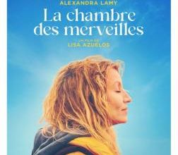 Adaptation de La chambre des merveilles, de Julien Sandrel