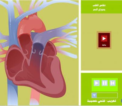 فلاش للدورة الدموية للسنة الثالثة ثانوي إعدادي