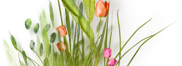 printemps