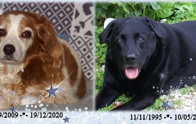 Journée au ralenti ... particulière