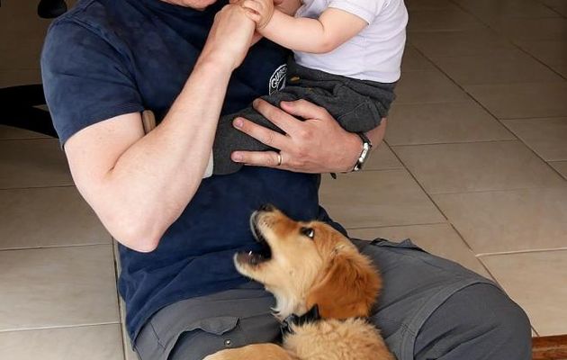 Un nouveau petit chien