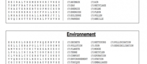 Mots mêlés « Environnement » CE2