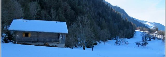 UNE SORTI EN MONTAGNE 2023