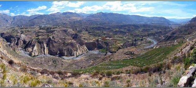 Panorama sur le Cañon de Colca et ses cultures en terrasses vus à partir du mirador Antahuilque - Maca - Pérou