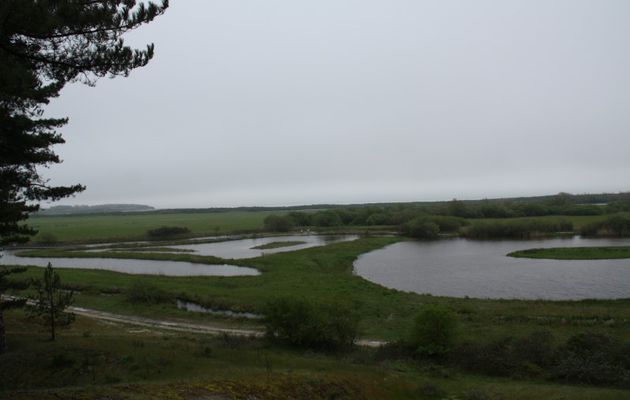 PARC DU MARQUENTERRE (Somme - 80)