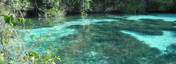 L'Aquarium de Claire