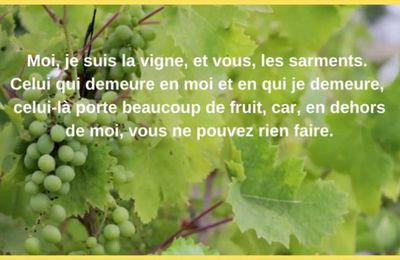 Homélie du 5ème dim/Pâques - Demeurer en Jésus - 28 avril 2024