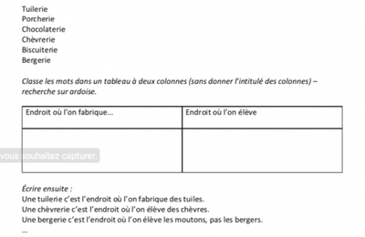 Séance de découverte Cléo sur les suffixes CE2.