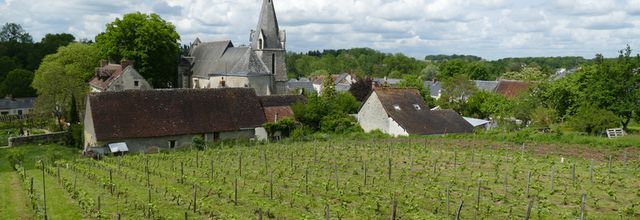 Touraine (2) Chédigny