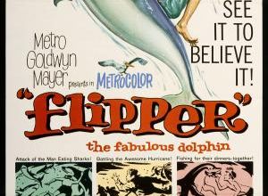 Flipper