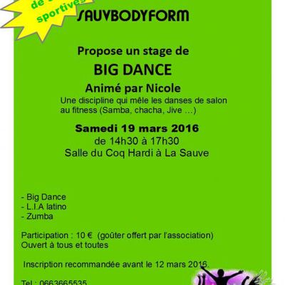 Stage de BigDance