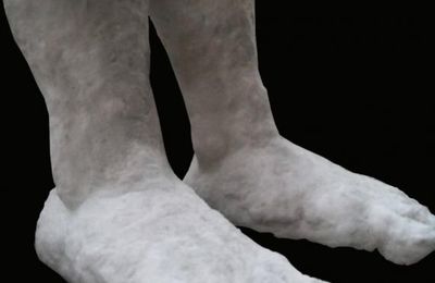 PETITE HISTOIRE SUR LES PIEDS DU POLITIQUE ÉLU ILLUSTRÉE