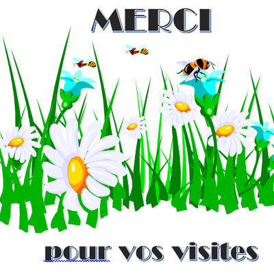 PLUS DE 100 000 VISITES