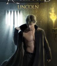 Download free books online for iphone Lincoln: The Story of ANGELBOUND from Prince Lincoln's Point of View...And More 9781945723636 by Christina Bauer English version