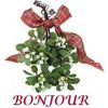 Cartonnettes Bonne Année !