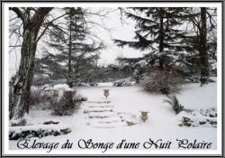 Neige et Husky (13 mars 2013)
