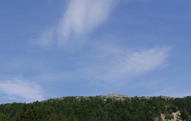Le 27 juin : du col de la Biche à Arvières - 2