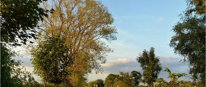 Balade du soir...