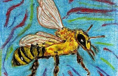 POLLEN-PLANCTON
