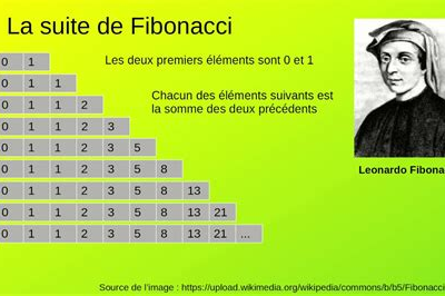 Maths dynamiques n°5