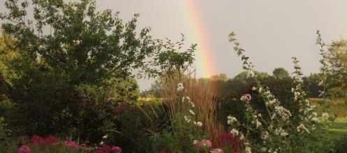 Plaisir jardin