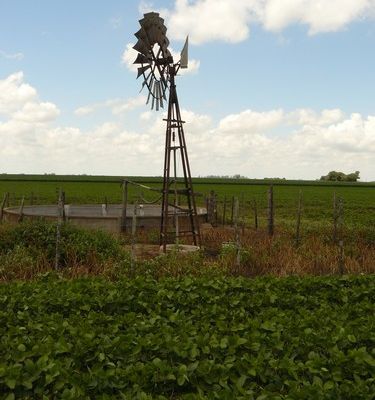 Poéme de Paul Bergèse Dans la plaie de la terre