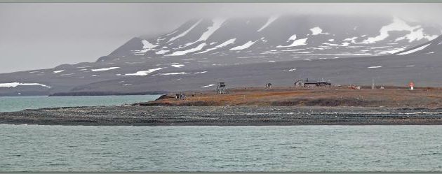 09/07/2024 après-midi : pas envie de marcher après ce que nous avions fait le matin, simple balade en Zodiac le long de la côte à Mushamna - Spitzberg - Svalbard - Norvège