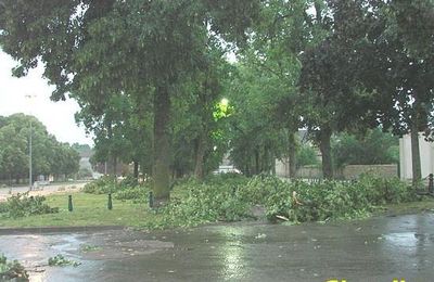Les photos de Claudie après la tempête....