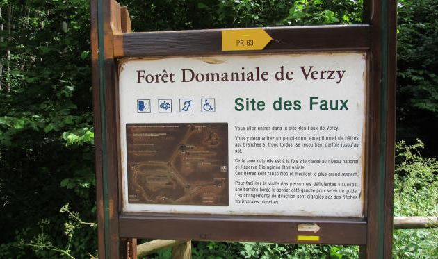 Parc de la Montagne de Reins Juin 2017 (Foret domaniale de Verzy, site des Faux
