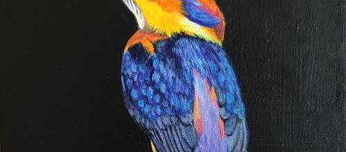 Oiseau rare