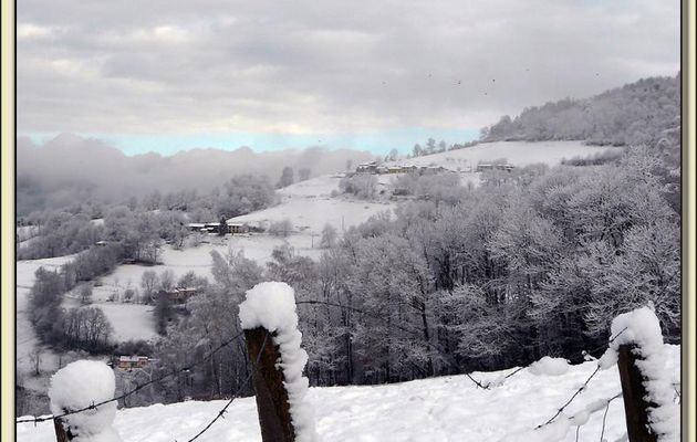 Paysages des Pyrénées (Année 2010)