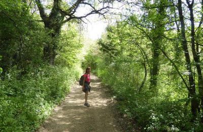 BRUE-AURIAC: le reportage ! 
