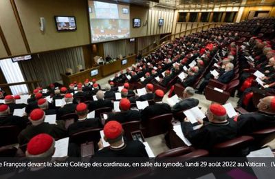 Réforme de la Curie, les cardinaux du monde entier réunis au Vatican - VA