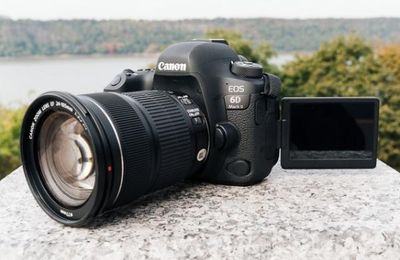 Learner DSLR Camera Reviews